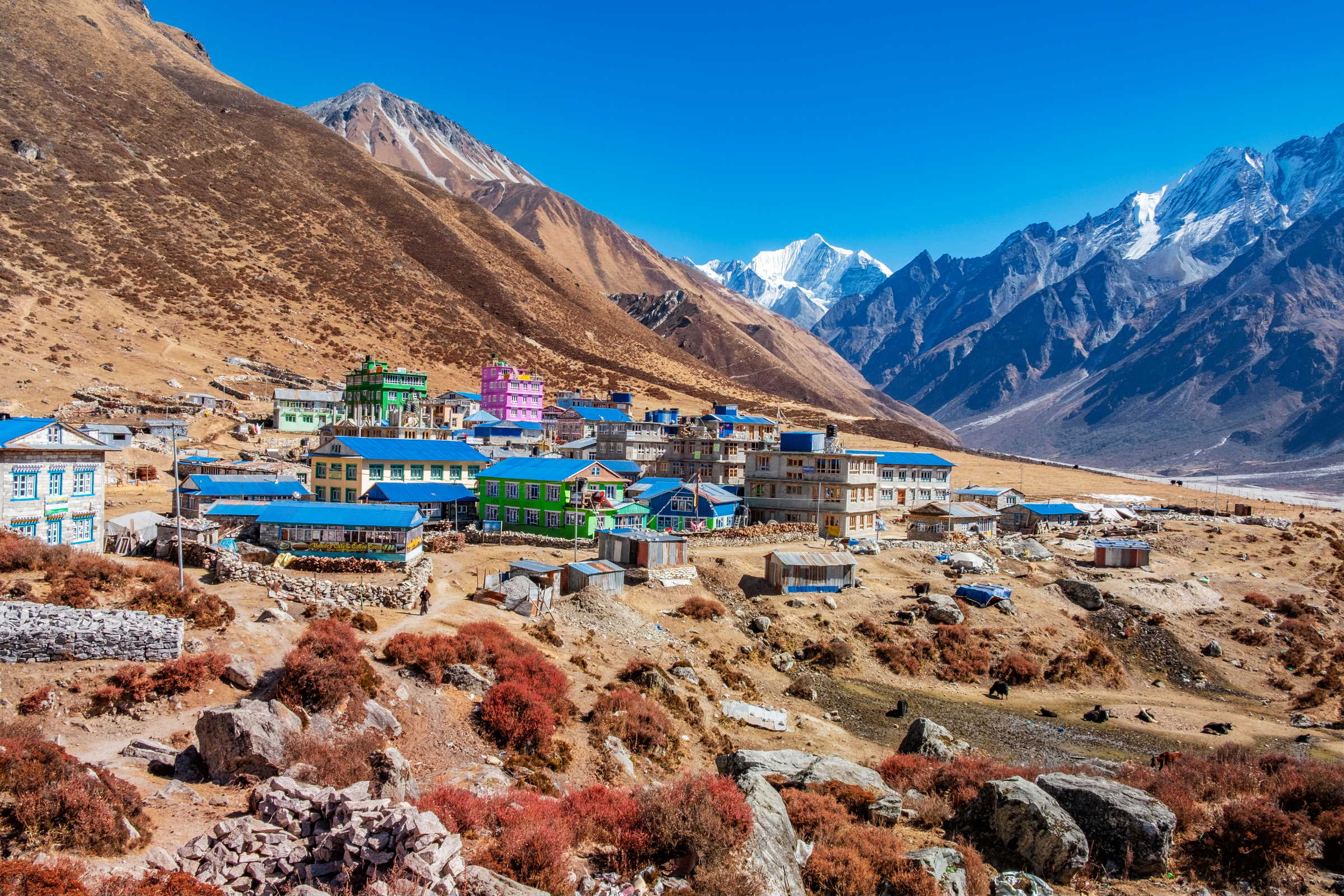 kyanjin gompa (3).webp